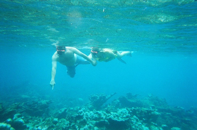 Snorkel en el Caribe – Una Aventura submarina para todos.