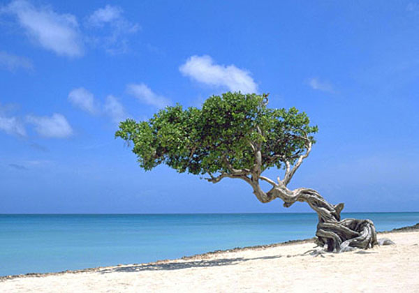 Los mejores destinos de vacaciones en el Caribe